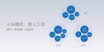小米上市一周年業(yè)績(jī)不佳 市值蒸發(fā)43