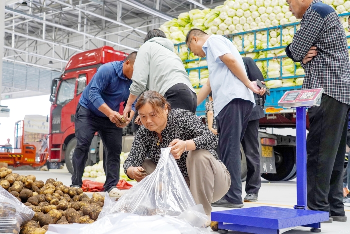 中國農(nóng)批宿遷市場盛大開業(yè)，新鮮食材與水果零售引領(lǐng)健康生活新風(fēng)尚